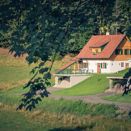 Ferienhaus Almruhe Villa Schwanberg Екстериор снимка